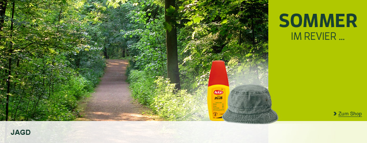 Sommer im Revier