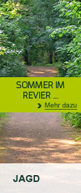Sommer im Revier