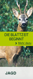 Die Blattzeit beginnt