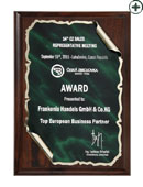 Der CZ 'Top European Business Partner'-Award für FRANKONIA